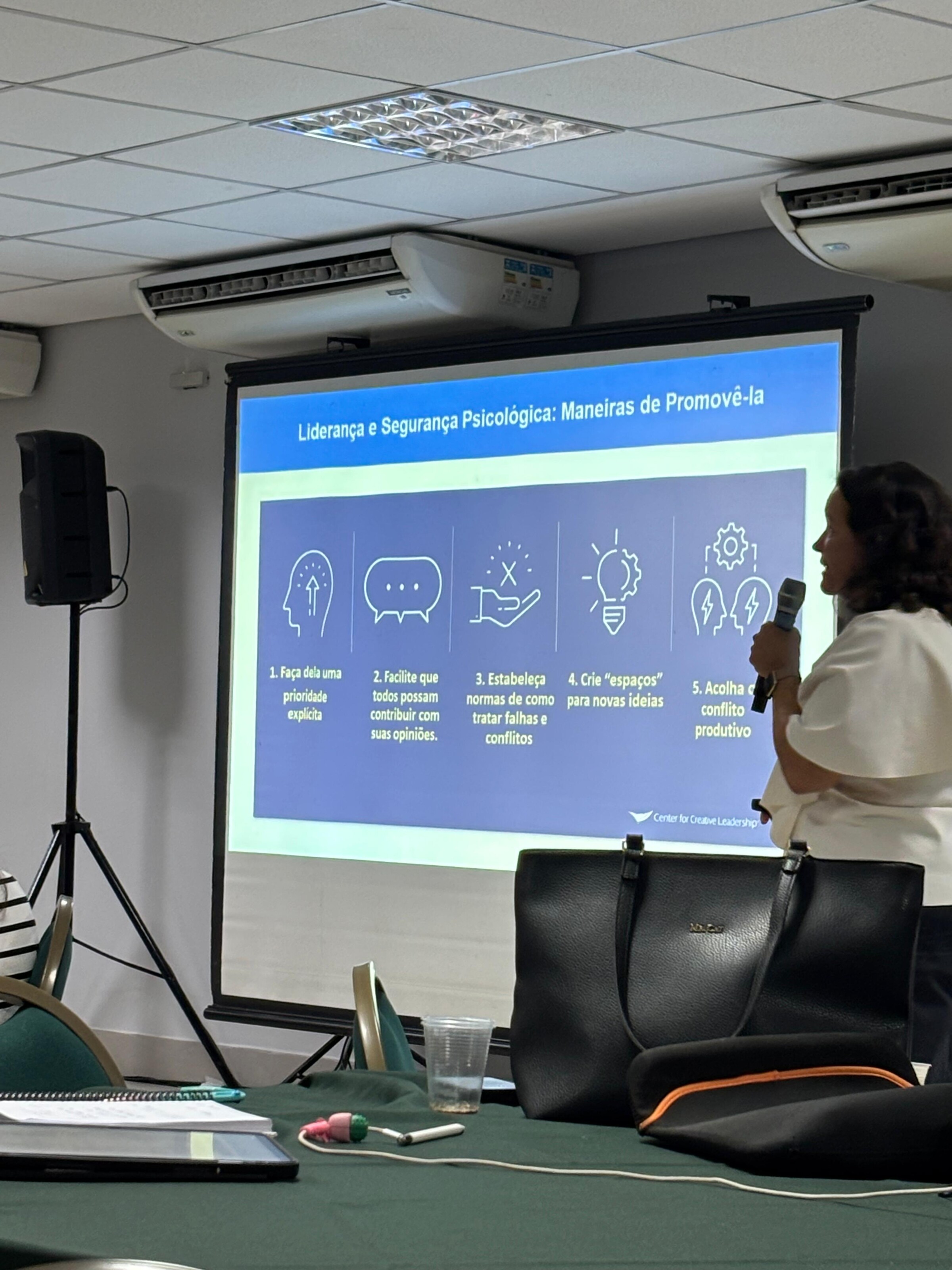 IHR - Goiás -3.jpeg